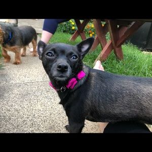 Meet your Posher, Leah